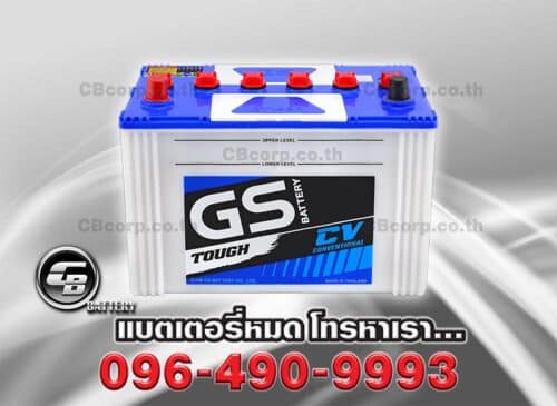 GS Battery GT195 BV