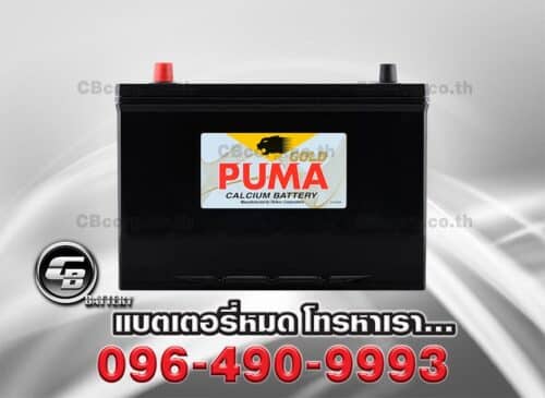 Puma Battery 105D31L SMF Front