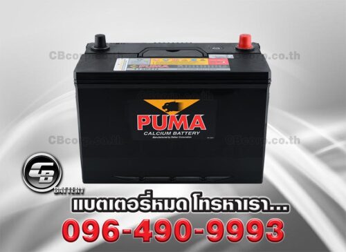 Puma Battery 115D31R SMF Bv