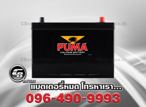 Puma Battery 115D31R SMF Front