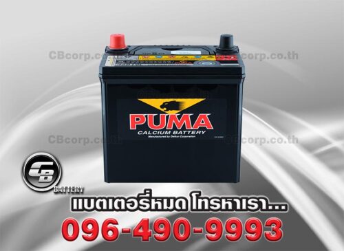 Puma Battery 46B19L SMF Bv
