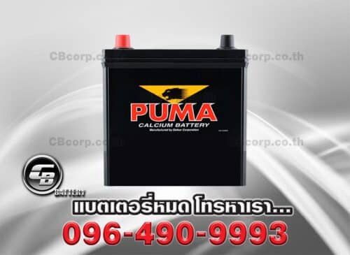 Puma Battery 46B19L SMF Front