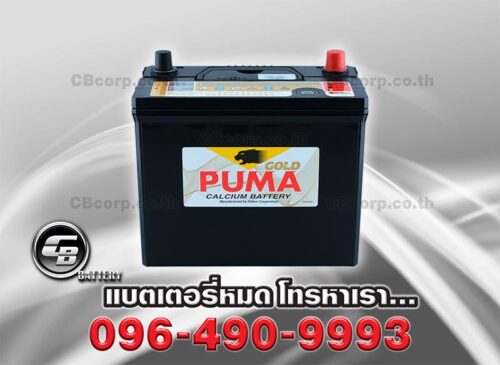 Puma Battery 46B24R SMF Bv