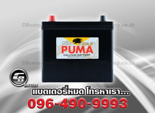 Puma Battery 46B24R SMF Front