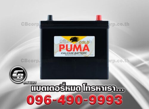 Puma Battery 50B24L SMF Front