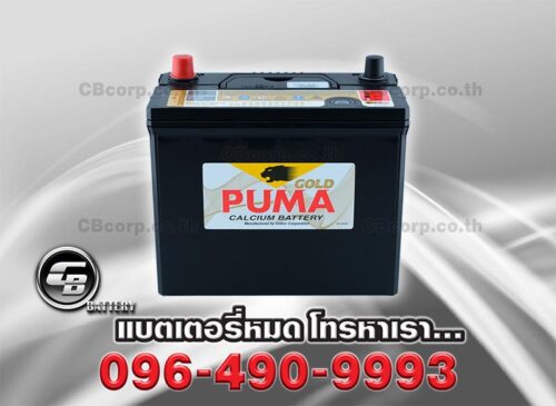 Puma Battery 65B24L SMF Bv