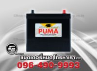 Puma Battery 65B24L SMF