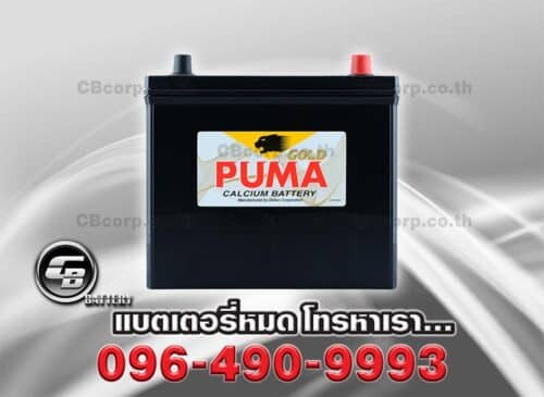 Puma Battery 65B24L SMF Front