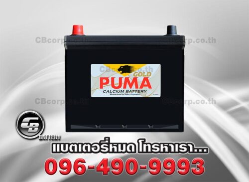 Puma Battery 75D23L SMF Front