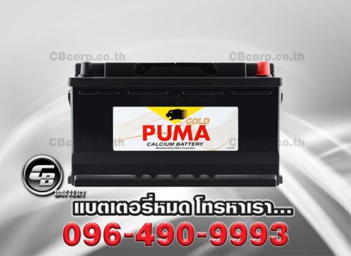 Puma Battery DIN100 SMF Front