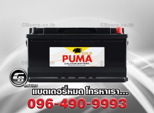 Puma Battery DIN110 SMF Front