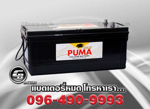 Puma Battery N150 SMF Front