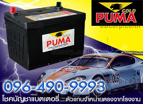 ราคาแบตเตอรี่รถยนต์ PUMA
